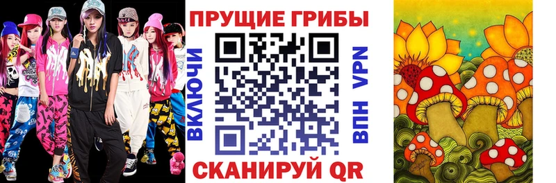 мега как зайти  Черногорск  Галлюциногенные грибы Magic Shrooms 